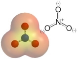 Nitrate Molecule